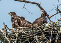 FXM_4463_May 20th