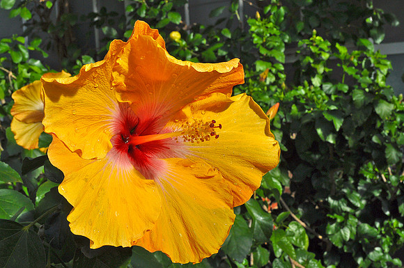 DSC_0175-Edit
