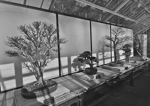 DSC_0118-Edit